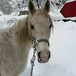 Hébergement de vacances Maison Du Bourg